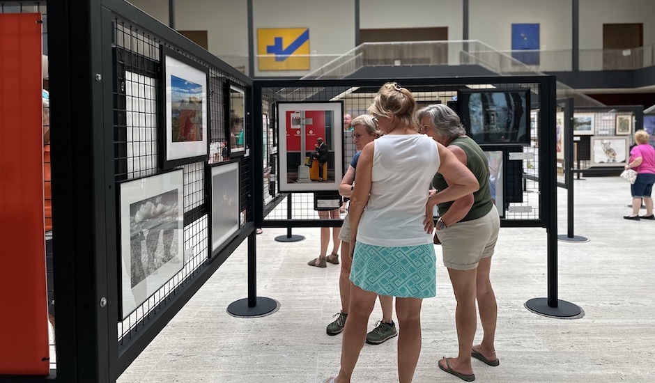 sidewalk show, people observing art in root court